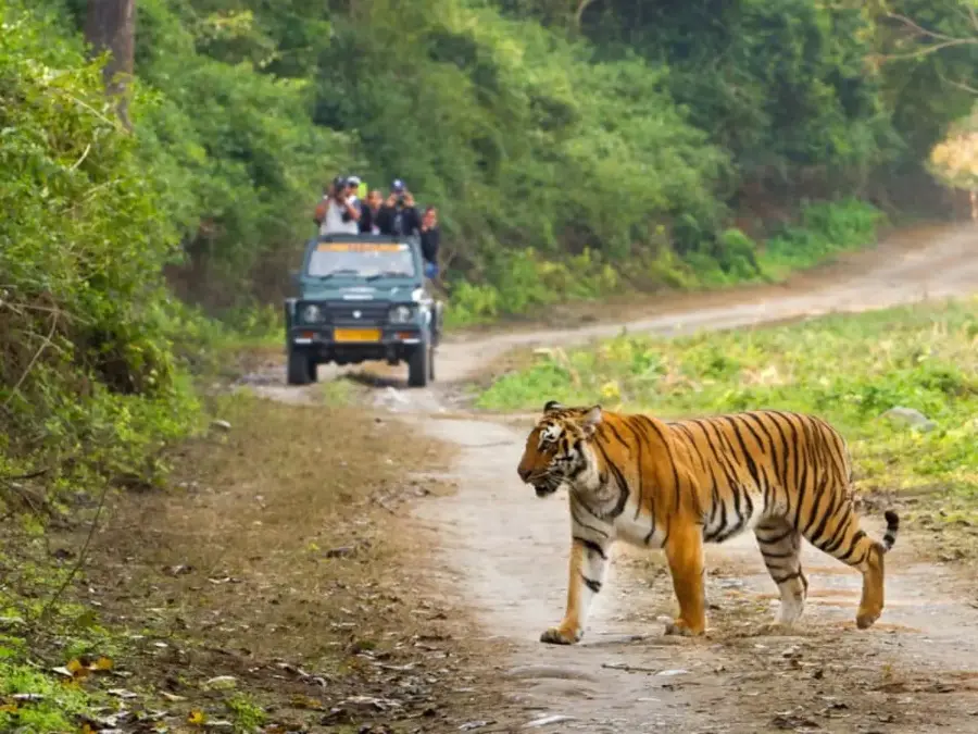 Jim corbett