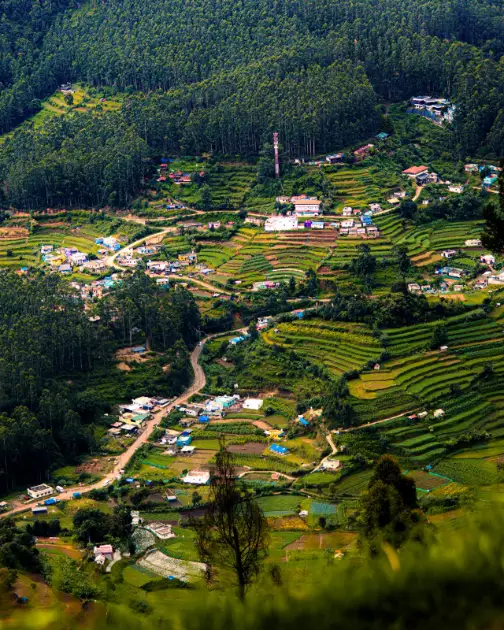 Stunning aerial view of terraced fields and dense forest in a vibrant green valley landscape Ooty