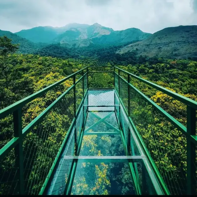 Wayanad glass bridge